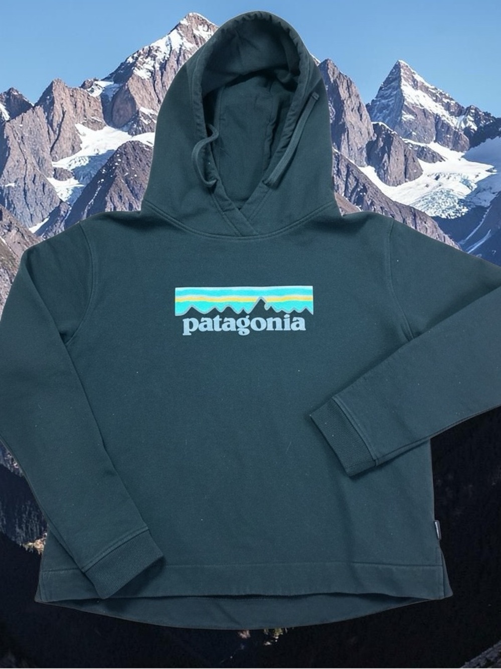 Patagonia Black Cropped Logo Hoodie Size Large